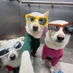 3 Permainan Slot Online