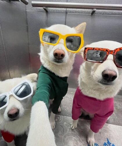 3 Permainan Slot Online