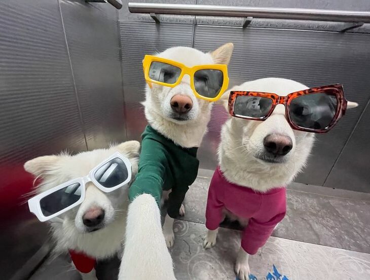 3 Permainan Slot Online