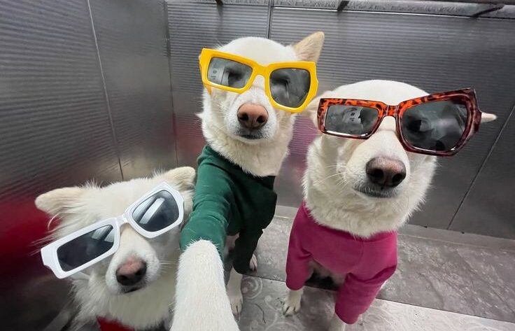 3 Permainan Slot Online